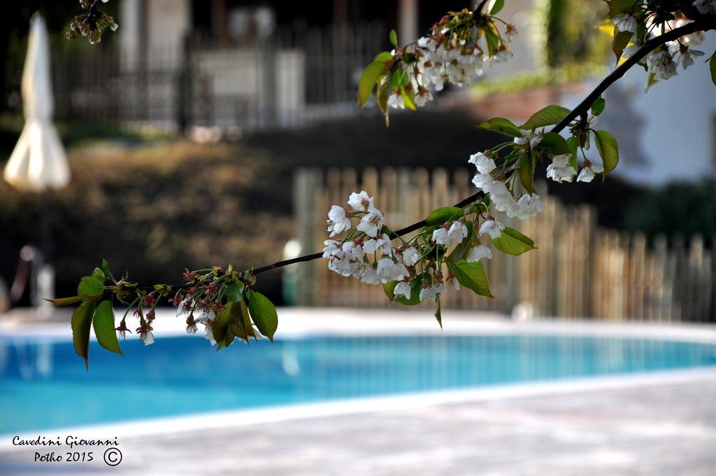 Agriturismo & Agricamping Serena باسترينغو المظهر الخارجي الصورة