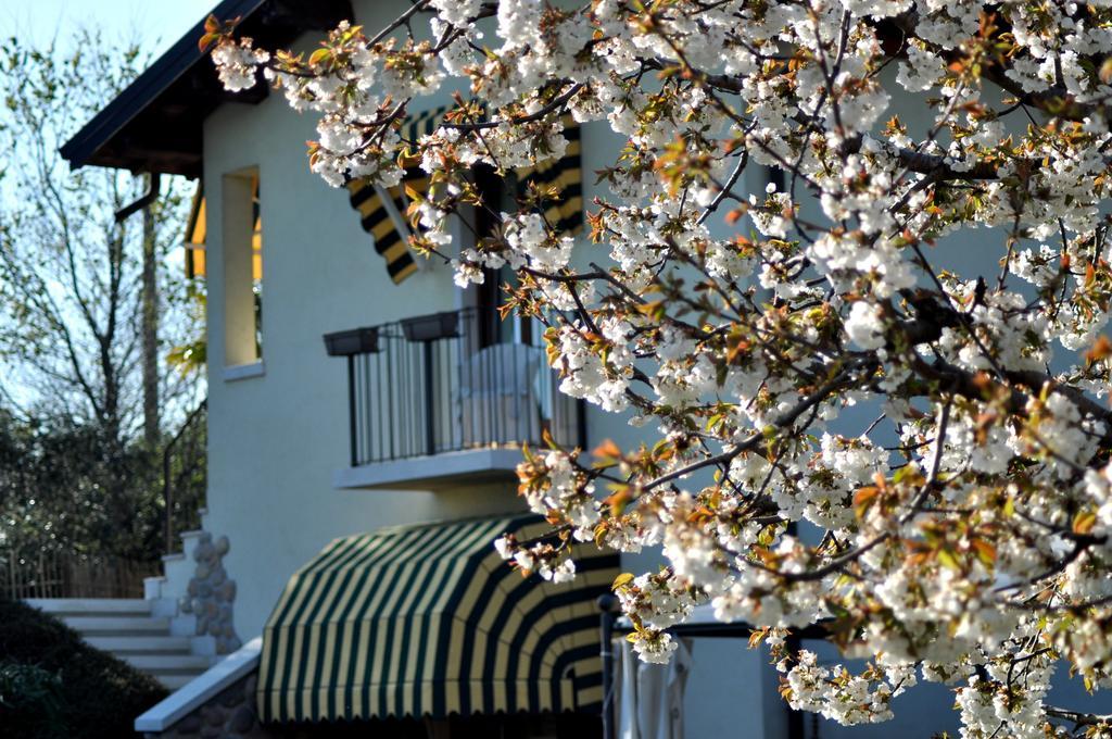 Agriturismo & Agricamping Serena باسترينغو المظهر الخارجي الصورة